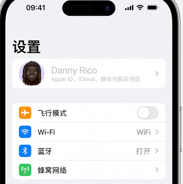 泾源appleID维修服务iPhone设置中Apple ID显示为灰色无法使用 