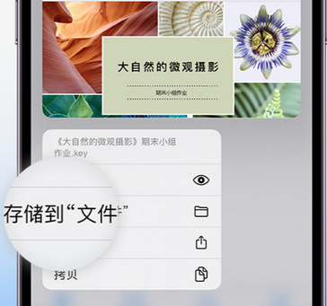 泾源apple维修中心分享iPhone文件应用中存储和找到下载文件