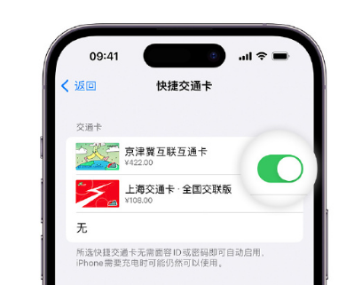 泾源apple维修点分享iPhone上更换Apple Pay快捷交通卡手绘卡面 