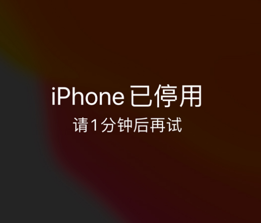 泾源苹果手机维修分享:iPhone 显示“不可用”或“已停用”怎么办？还能保留数据吗？ 