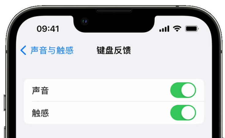 泾源苹果手机维修分享iPhone 14触感键盘使用方法 