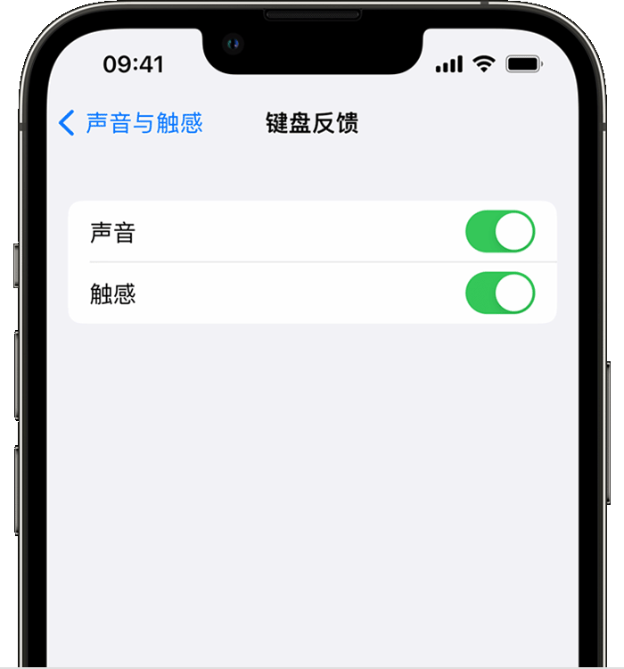 泾源苹果14维修店分享如何在 iPhone 14 机型中使用触感键盘 