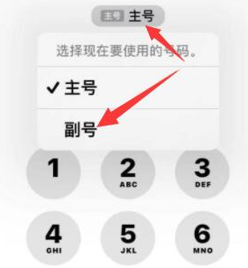 泾源苹果14维修店分享iPhone 14 Pro Max使用副卡打电话的方法 