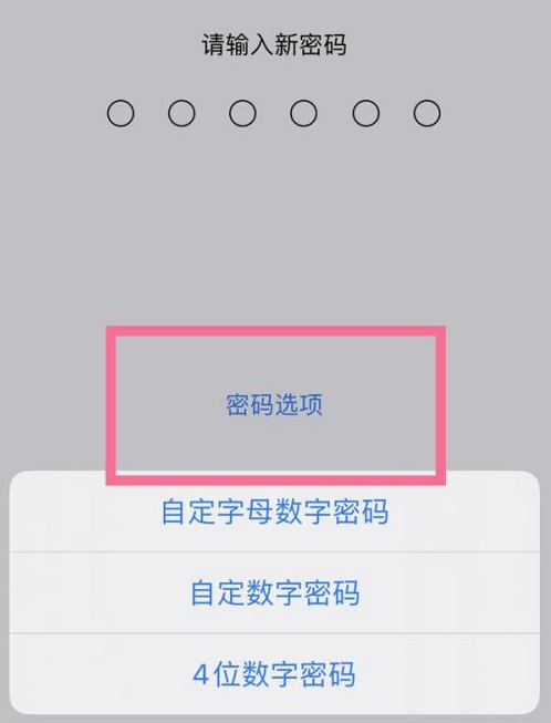 泾源苹果14维修分享iPhone 14plus设置密码的方法 