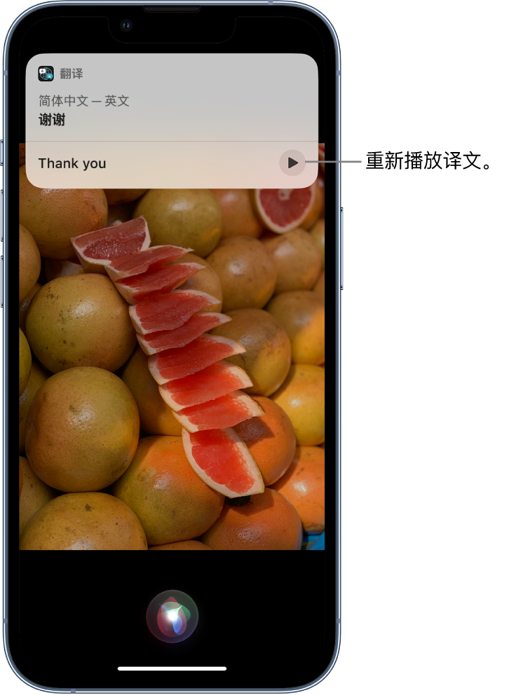 泾源苹果14维修分享 iPhone 14 机型中使用 Siri：了解 Siri 能帮你做什么 