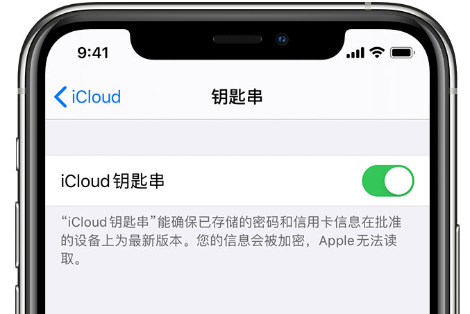 泾源苹果手机维修分享在 iPhone 上开启 iCloud 钥匙串之后会储存哪些信息 