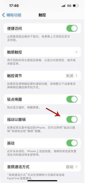 泾源苹果手机维修分享iPhone手机如何设置摇一摇删除文字 